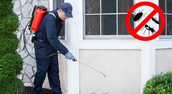 Büyükçekmece Kemirgen İlaçlama böcek ilaçlama ve haşere kontrolü — ilaclama-tr.com